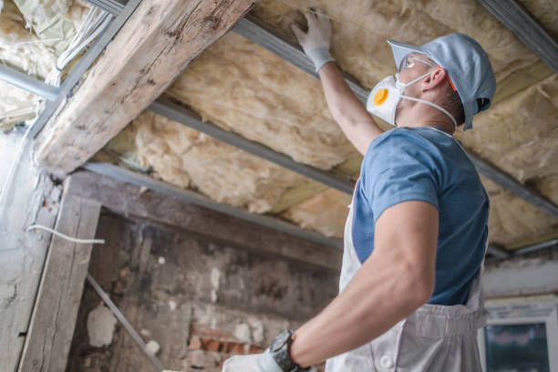 Best Energy Efficiency Insulation in Glen Lyon, PA